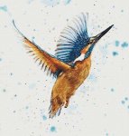 (image for) Kingfisher